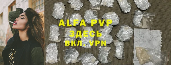 ПСИЛОЦИБИНОВЫЕ ГРИБЫ Верея