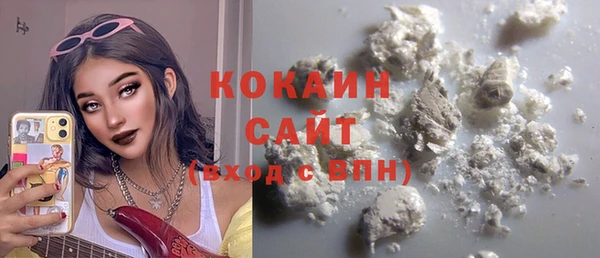 ПСИЛОЦИБИНОВЫЕ ГРИБЫ Верея