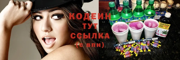 ПСИЛОЦИБИНОВЫЕ ГРИБЫ Верея