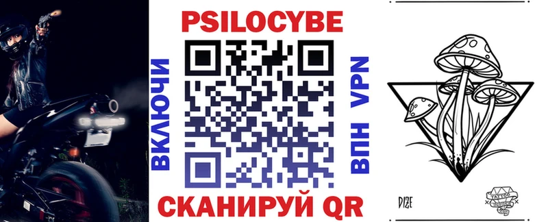Псилоцибиновые грибы Psilocybine cubensis  Сенгилей 